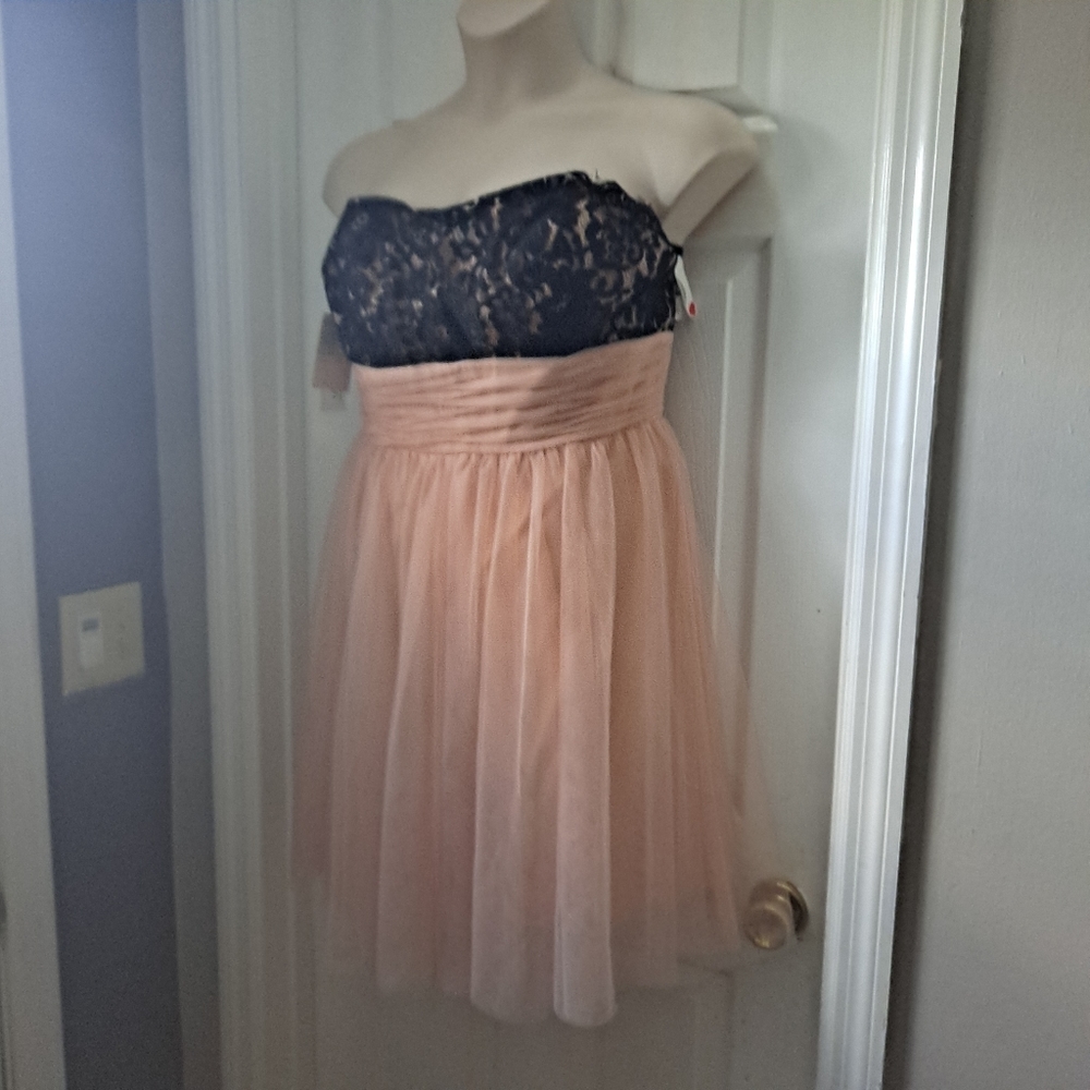 Christina Wu black and pink dress size 16